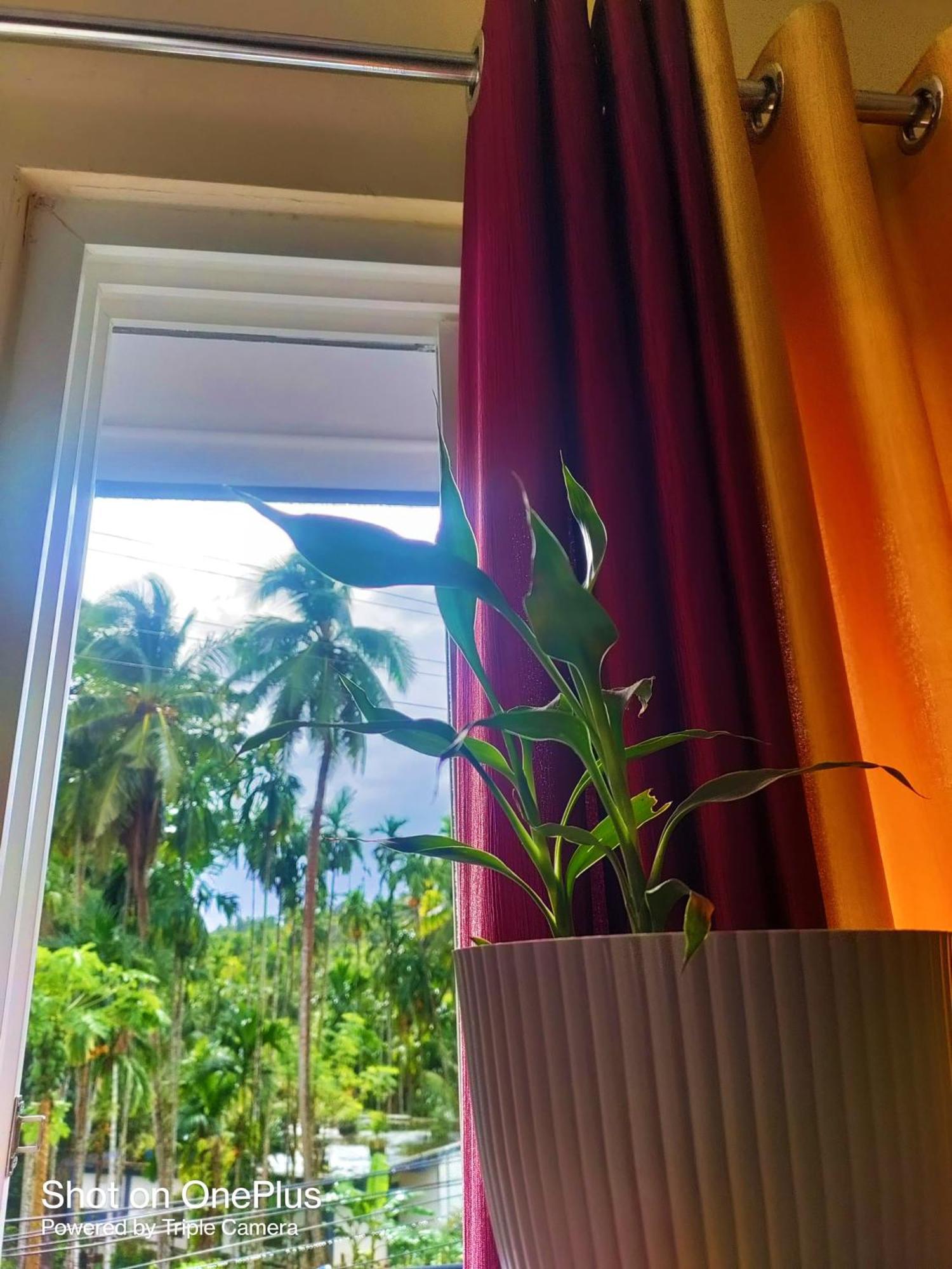 Hilton Garden Homestay 布莱尔港 外观 照片